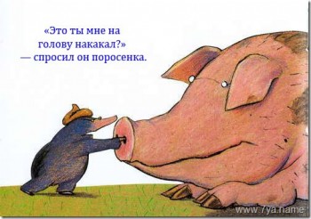 imagebam.com