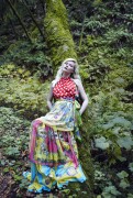 imagebam.com
