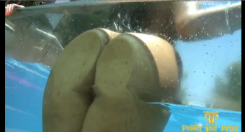 [Image: fc7ad5152421005.jpg]