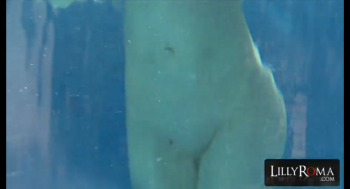 [Image: 47b06e154429888.jpg]